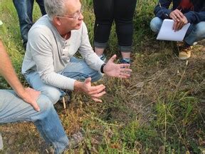 Big bug benefits: Alberta scientist releases guide identifying cow dung insects